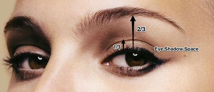 ideal female upper eyelid